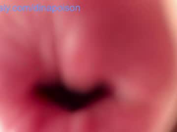 WebCam for dinapoison